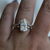 Empress Crown No.7 Pave' Band