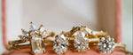Acacia Crown