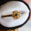 Rose | Black Diamond Pave' Rose Ring