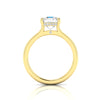 WYN Hidden Halo | Asscher