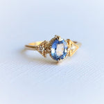 Carrie | Oval Cut North/South Prong Blue Sapphire