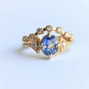Carrie | Oval Cut North/South Prong Blue Sapphire