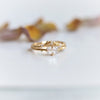 Acacia | 6 x 4 mm Emerald Cut Moissanite Twig Engagement Ring - Emi Conner Jewelry 