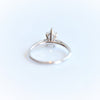 AVA | Pear 9 x 6 mm Charles & Colvard Moissanite® Cathedral Style Solitaire Ring - Emi Conner Jewelry 