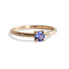 Stella | 4 mm Round Cut Birthstone Hidden Star Ring