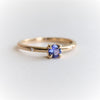 Stella | 4 mm Round Cut Birthstone Hidden Star Ring