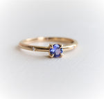 Stella | 4 mm Round Cut Birthstone Hidden Star Ring