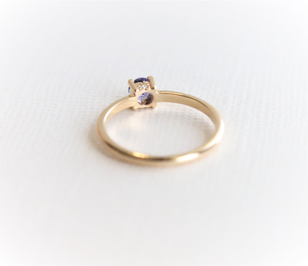 Stella | 4 mm Round Cut Birthstone Hidden Star Ring