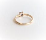 Stella | 4 mm Round Cut Birthstone Hidden Star Ring