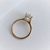 WYN Hidden Halo | Oval (Elongated) Solitaire Ring