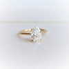 WYN Art Deco | Oval (Elongated)