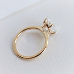 WYN Classic | Oval (Elongated) Solitaire Ring