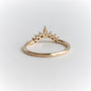 Alexis Band No. 3