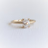 AVA | 0.8 ct Oval Dainty Cathedral Solitaire Ring