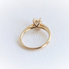 AVA | 0.8 ct Oval Dainty Cathedral Solitaire Ring
