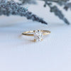 AVA | 1 ct. Oval Dainty Cathedral Solitaire Ring