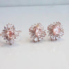 Victoria | 14K Morganite & Diamond Earrings - Emi Conner Jewelry 