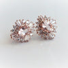 Victoria | 14K Morganite & Diamond Earrings - Emi Conner Jewelry 